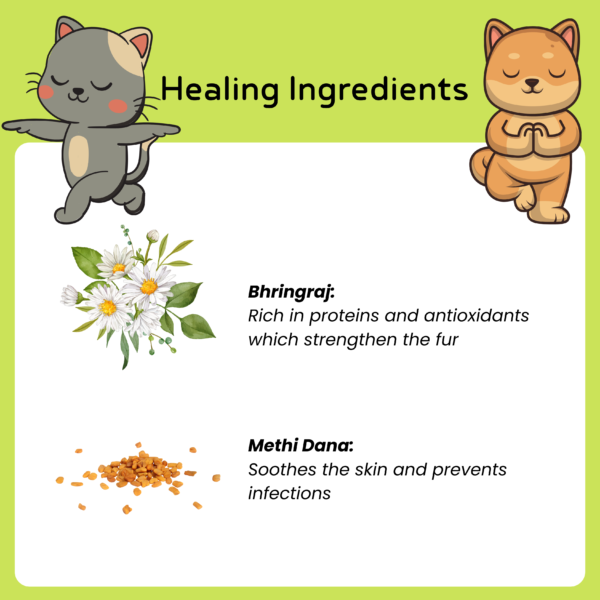 Bhringraj & Methi Dana Shampoo For Dogs & Cats - Image 5