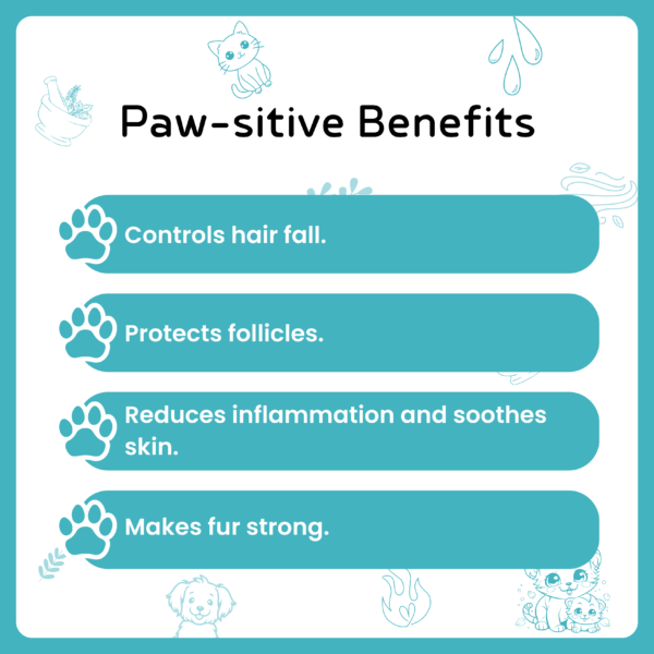 Brahmi & Rosemary Shampoo For Dogs & Cats - Image 4